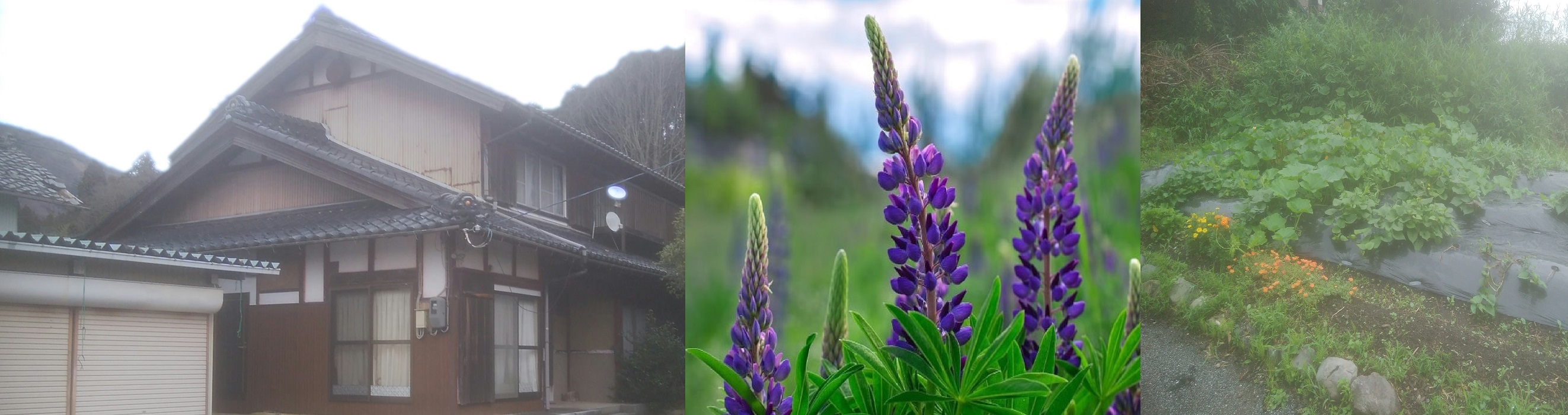 グループホーム全景